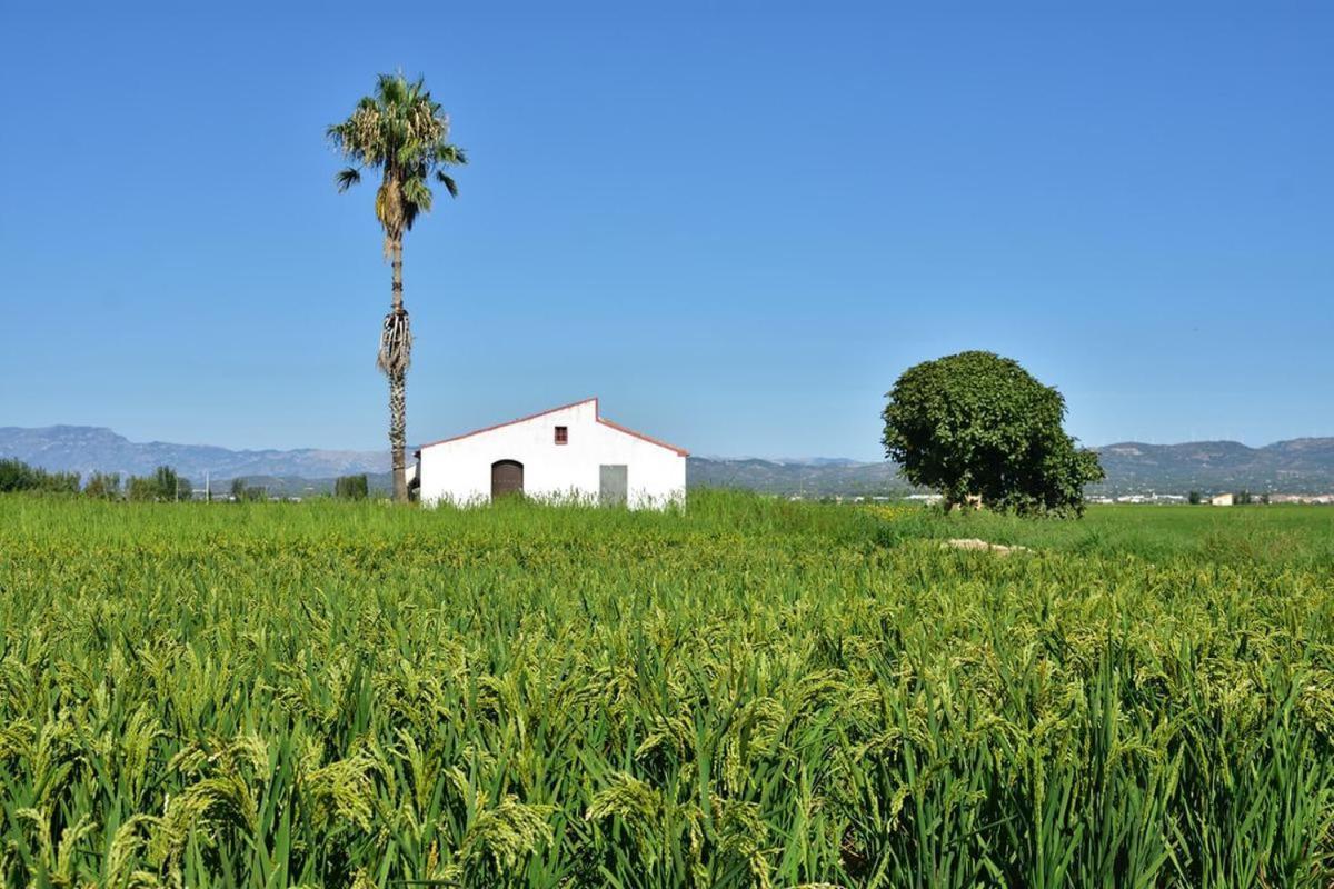 Apartamento Delta Del Ebro Amposta Esterno foto