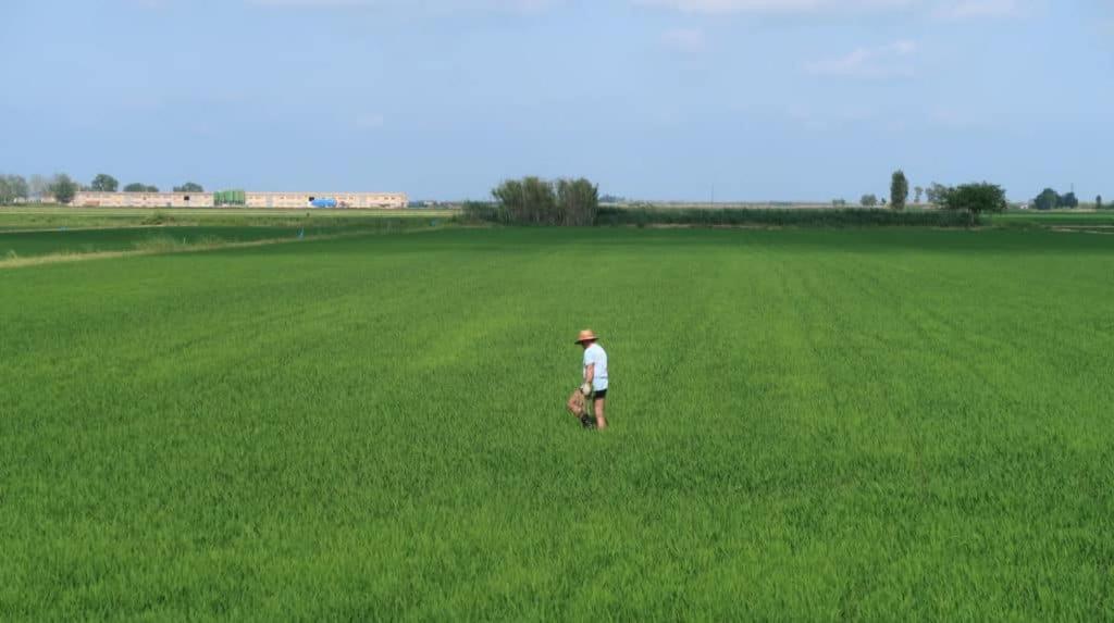Apartamento Delta Del Ebro Amposta Esterno foto